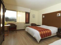 Logis Hôtel Horizon 117