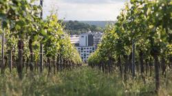 Holiday Inn - the niu, Form Stuttgart Feuerbach