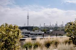 THE FLAG Munchen M.