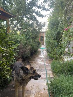 Kemal's Guest House
