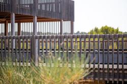 The Camp Hotel & Lodges