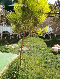 Badeli Konak Boutique Hotel