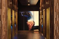 Hyatt Place Lax/Century Blvd
