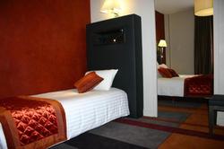 Logis Hotel le Lion d'Or