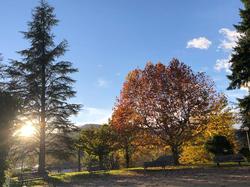 Domaine des Vans - Terres de France