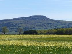 Domaine des Vans - Terres de France