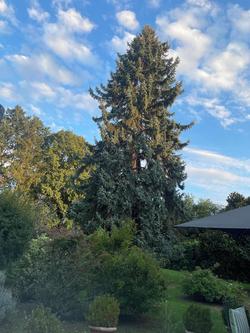 Glycines Country Guesthouse