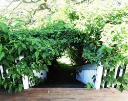 Pahala Plantation Cottages