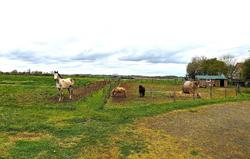 La Ferme Chauvet