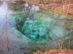 Logis Hotel la Source Bleue