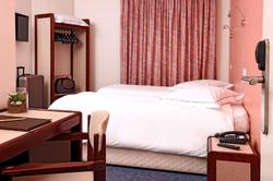 Logis Hotel Au Tilleul