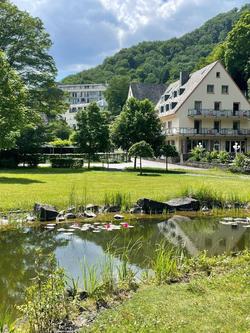 Hotel Alte Mühle