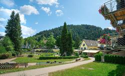 Hotel Waldblick