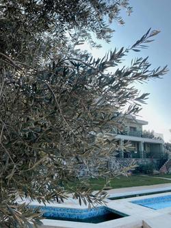 Belizi Hotel
