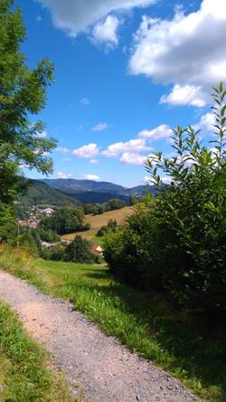 Vvf Villages La Route Des Vins D Alsace Orbey