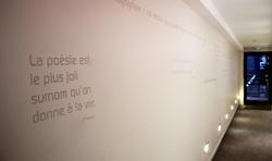 Ha Tel Des Arts