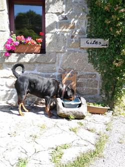 Domaine De Lesvaniel