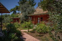 Felicity Hotel & Bungalows