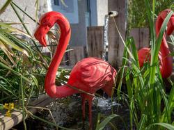 Ibis Brignoles Provence Verte