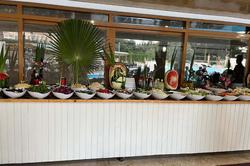 Alexius Beach Hotel
