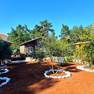 Coconut Apart Olympos