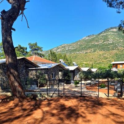 Coconut Apart Olympos