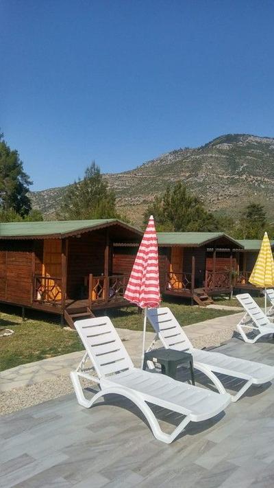 Anka Kuşu (Feniks) Ağaç Evleri