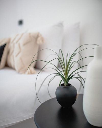 Nomad Lodge Olympos (+18 Adults Only)