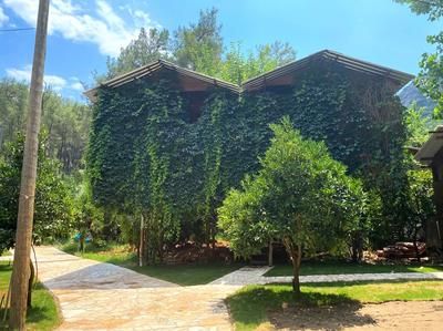 Olimpos Çamlık Pansiyon (Only Adults +16 )