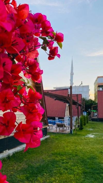 Noel Bungalov & Cafe