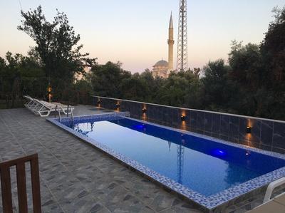 Yellow Butterfly Apart