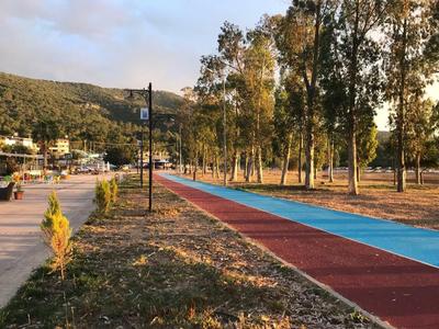 Garden Butik & Apart Hotel Akbük