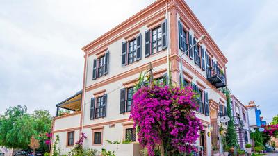 Siyah Lale Cunda 1841