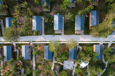 Nefes Dağyenice Doğada