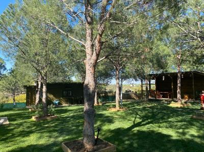 Elyada Otel ve Bag Evi (+8 Yaş)