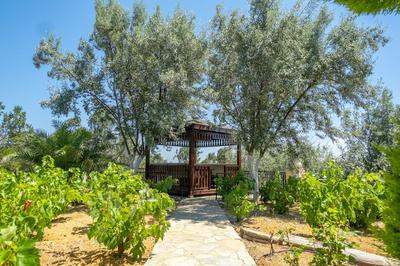 Korukçu Villaları Papazbahçe Karadut