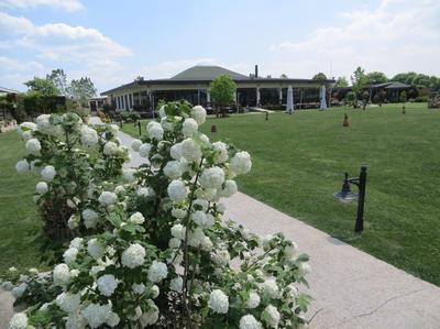 Riva's Club Butik Otel