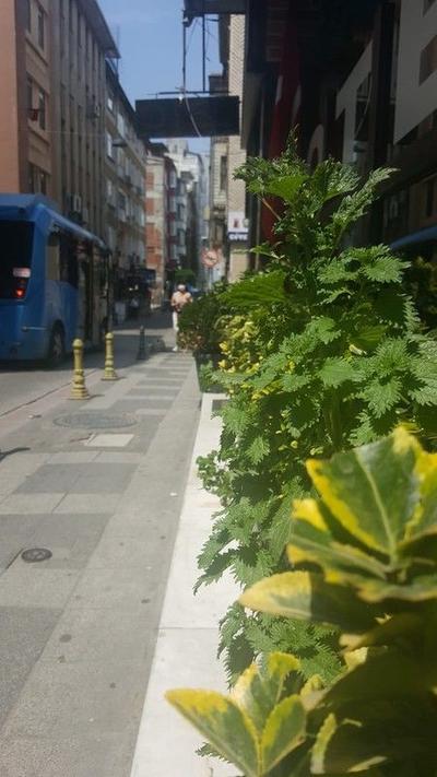 Ay Yıldızlar Hotel