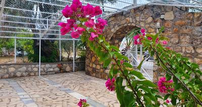 Dilek Ağacı Butik Otel