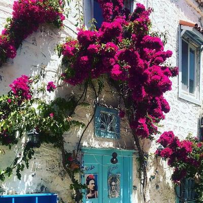 Alaçatı Frida Butik Otel