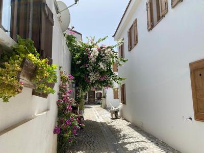 Kırlangıç Pansiyon