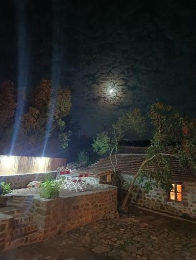 Thousand Ally Boutique