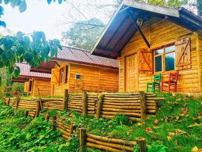 Yeşil Düş Vadisi Bungalov