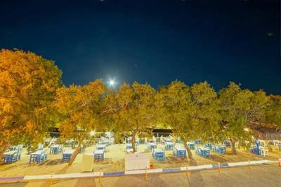 Badem Otel Palamutbükü