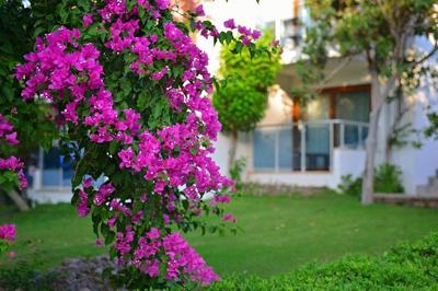 Club Datça Tatil Köyü