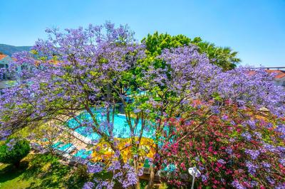 Grand Emir Hotel & Spa