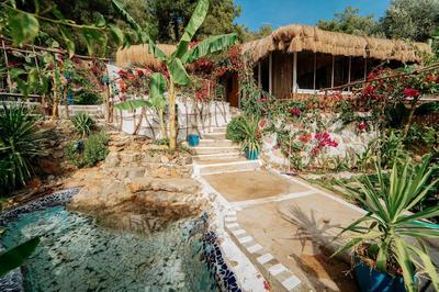 Begonvilla Bungalows