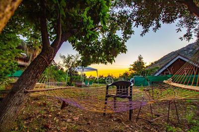 Faralya Gül  Pansiyon