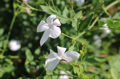 Urga Butik Otel & Restaurant