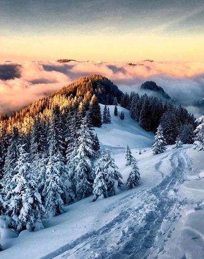 Ny Cambasi Bungalov Otel